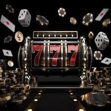 22wim